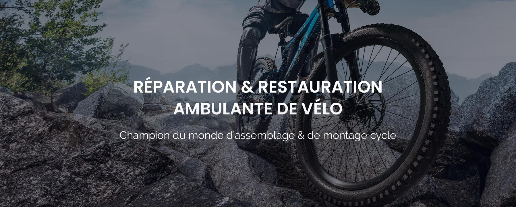 Réparation de vélo à domicile sur la communauté urbaine de Strasbourg